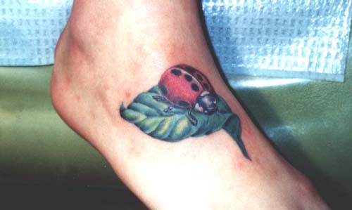 ladybug on leaf tattoo-296